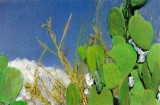 Prickly Pear + Clear Blue, Arizona